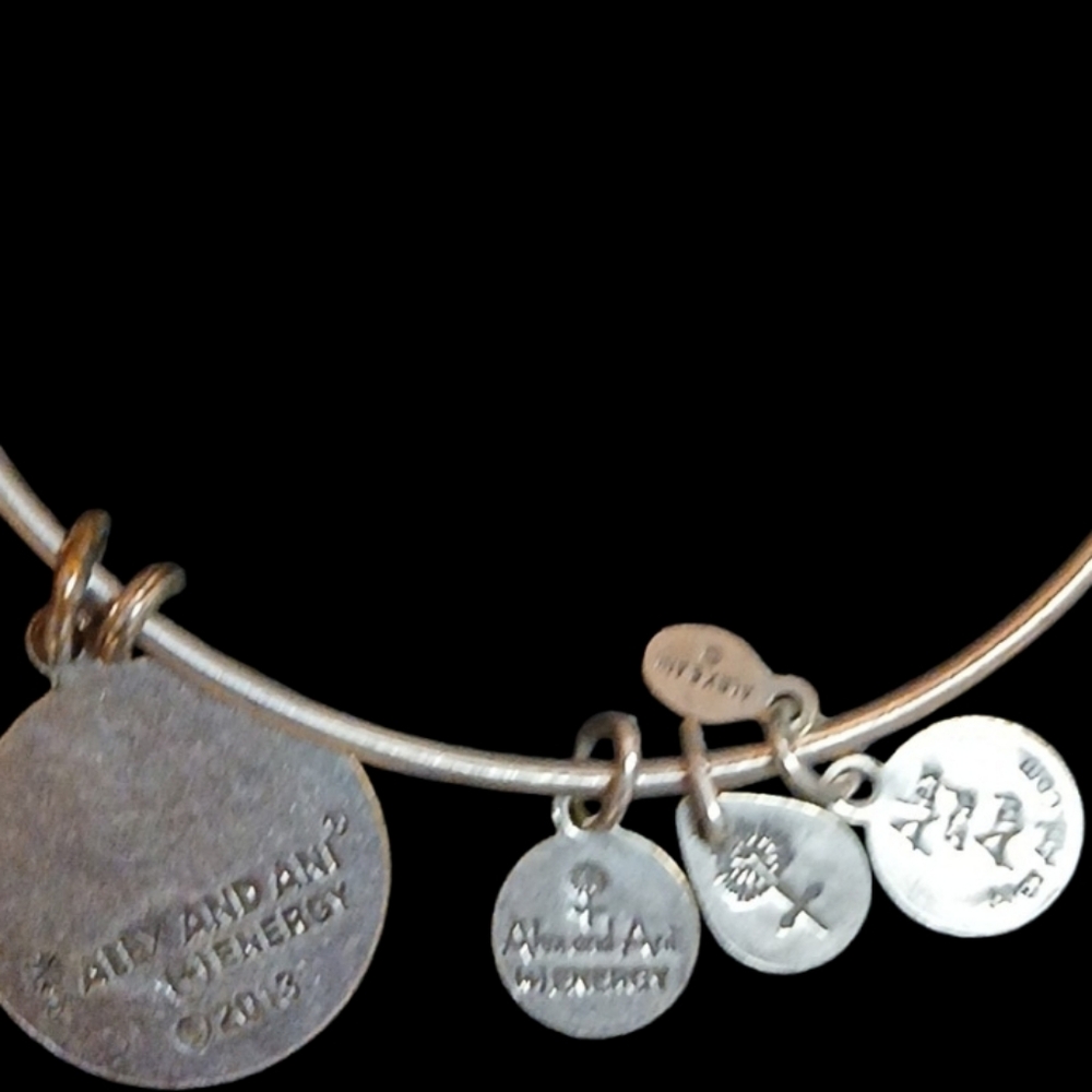 Alex and Ani - Silver Tone Wire Energy Infused Friend Charm Bracelet, Date 2013 - Picture 5 of 10